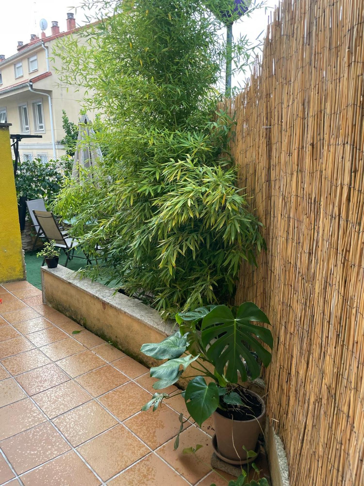 Ecobambu Con Terraza Y Parking En Pontevedra Apartment San Salvador de Poio Екстериор снимка